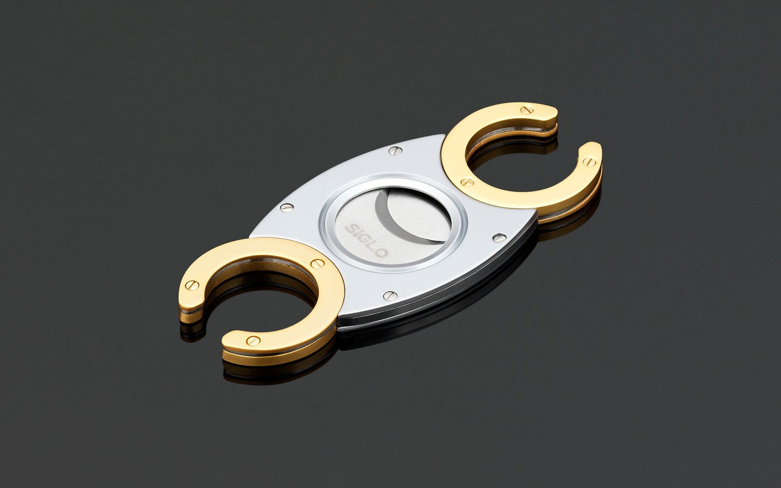 Silver Body/ Golden Handles 